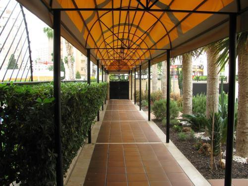 Hotel Torre Ipanema Apts-nh- Benidorm